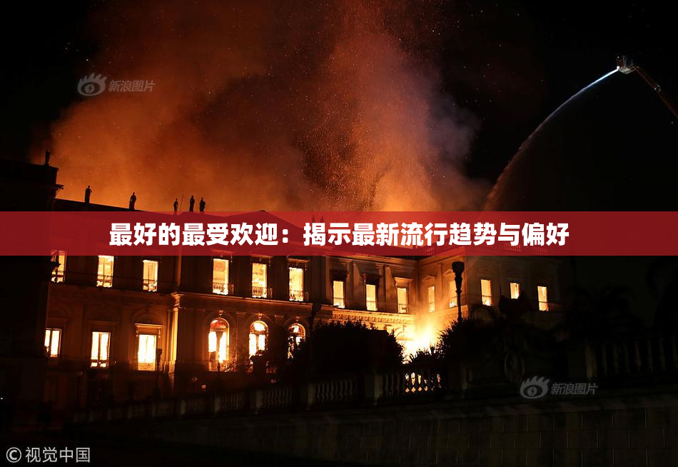 最好的最受欢迎：揭示最新流行趋势与偏好