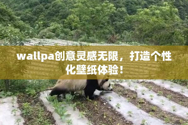 wallpa创意灵感无限，打造个性化壁纸体验！