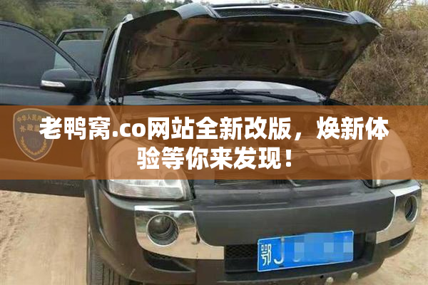 老鸭窝.co网站全新改版，焕新体验等你来发现！