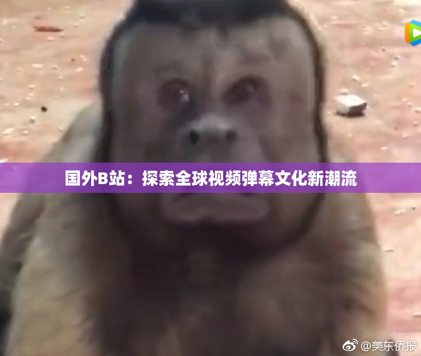 国外B站：探索全球视频弹幕文化新潮流
