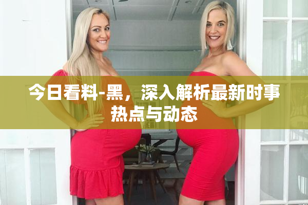 今日看料-黑，深入解析最新时事热点与动态