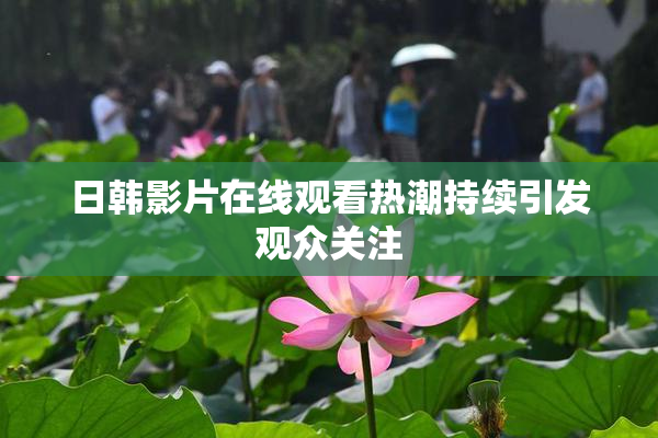 日韩影片在线观看热潮持续引发观众关注