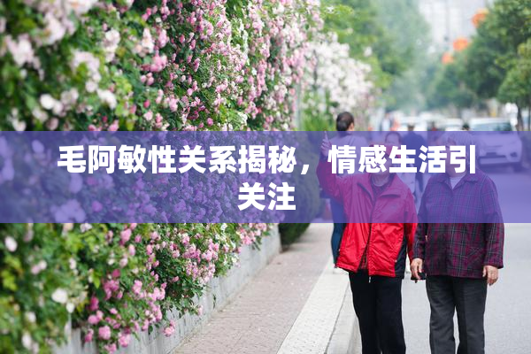 毛阿敏性关系揭秘，情感生活引关注