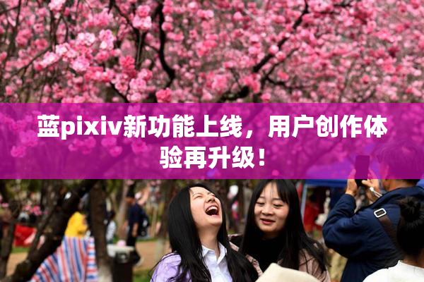 蓝pixiv新功能上线，用户创作体验再升级！
