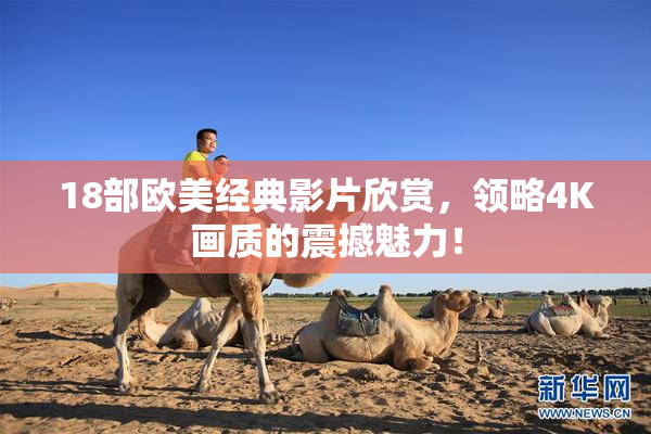 18部欧美经典影片欣赏，领略4K画质的震撼魅力！