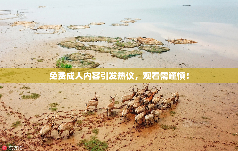 免费成人内容引发热议，观看需谨慎！