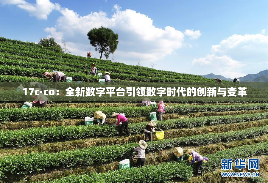 17c·co：全新数字平台引领数字时代的创新与变革