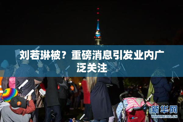 刘若琳被？重磅消息引发业内广泛关注
