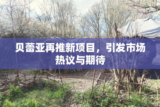 贝蕾亚再推新项目，引发市场热议与期待