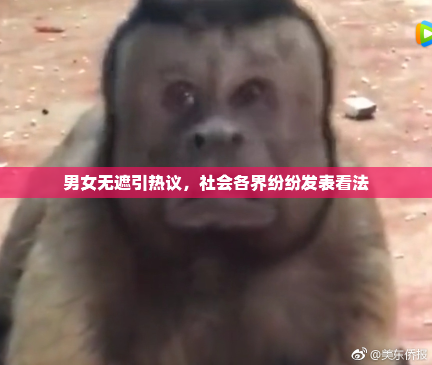 男女无遮引热议，社会各界纷纷发表看法