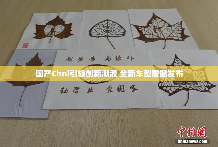 国产Chni引领创新潮流 全新车型震撼发布