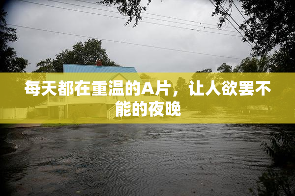 每天都在重温的A片，让人欲罢不能的夜晚