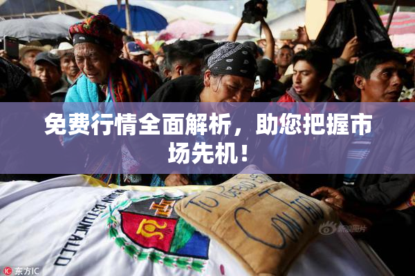免费行情全面解析，助您把握市场先机！