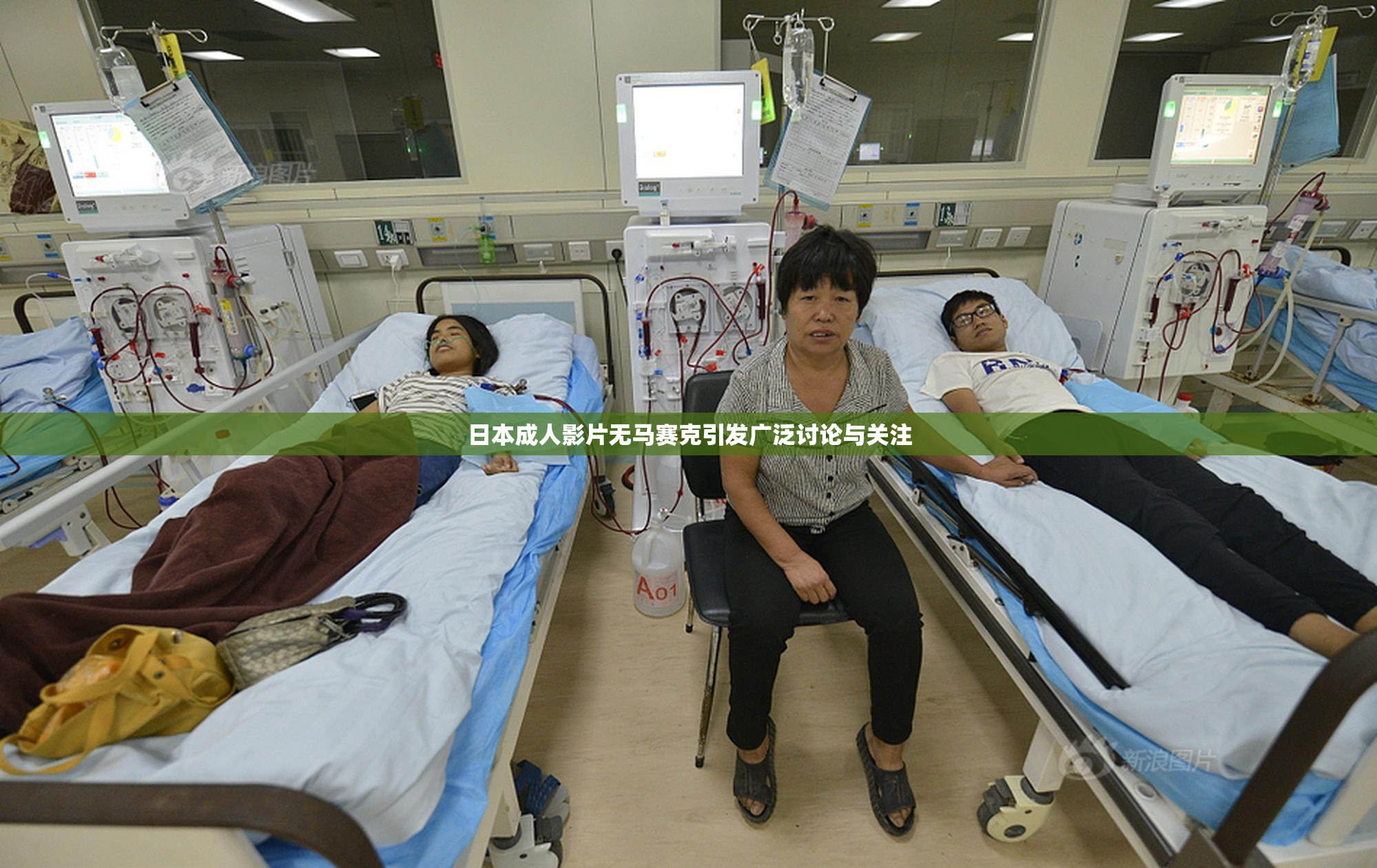 日本成人影片无马赛克引发广泛讨论与关注