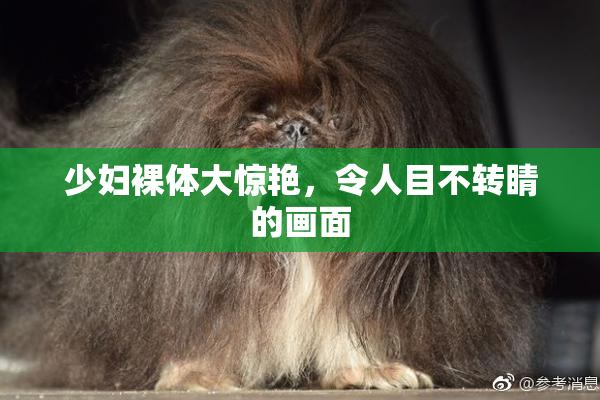 少妇裸体大惊艳，令人目不转睛的画面