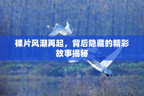 裸片风潮再起，背后隐藏的精彩故事揭秘