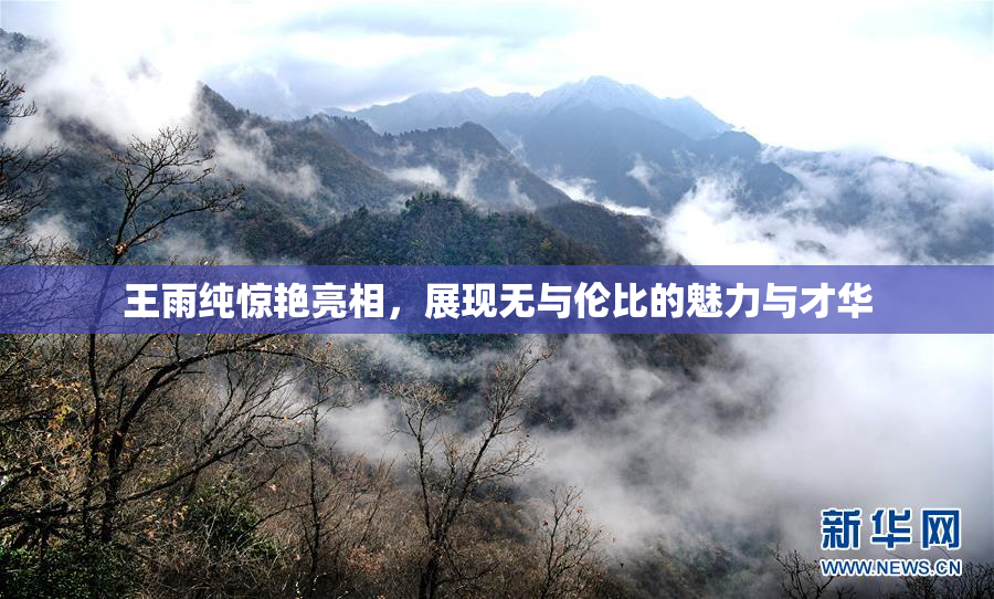 王雨纯惊艳亮相，展现无与伦比的魅力与才华
