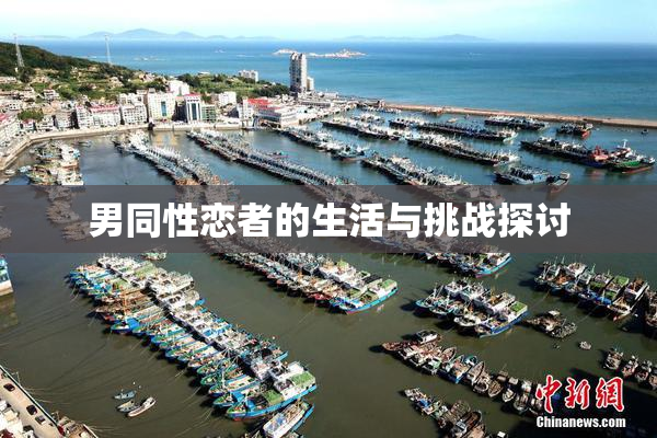 男同性恋者的生活与挑战探讨