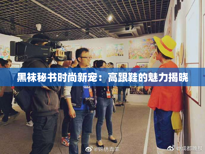黑袜秘书时尚新宠：高跟鞋的魅力揭晓