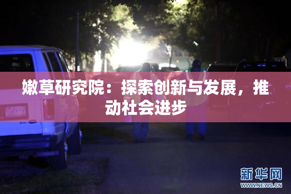 嫩草研究院：探索创新与发展，推动社会进步