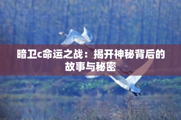 暗卫c命运之战：揭开神秘背后的故事与秘密