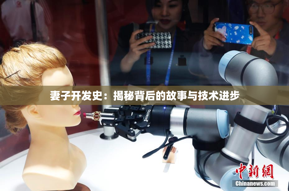 妻子开发史：揭秘背后的故事与技术进步