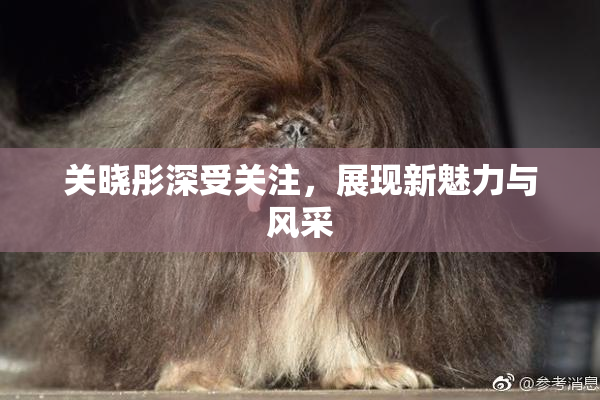 关晓彤深受关注，展现新魅力与风采