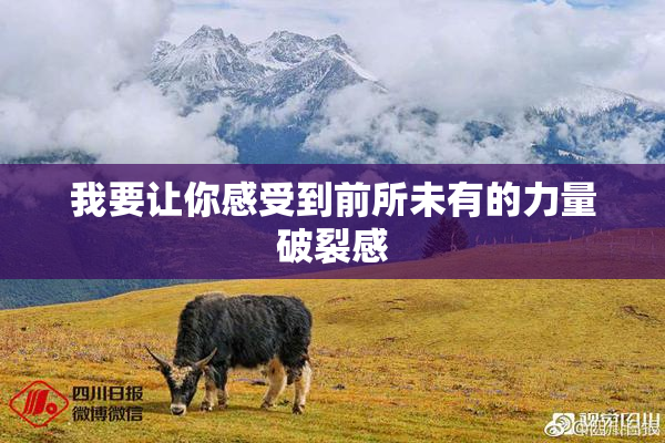 我要让你感受到前所未有的力量破裂感