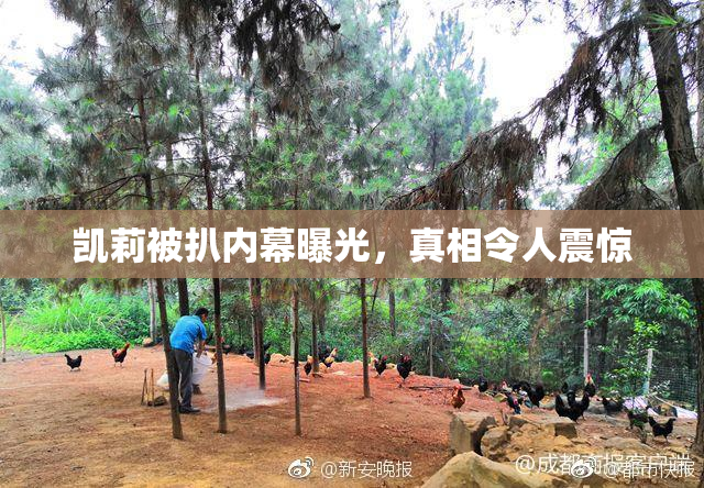凯莉被扒内幕曝光，真相令人震惊