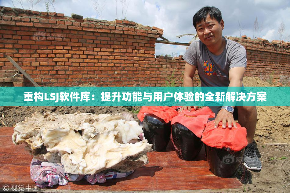 重构LSJ软件库：提升功能与用户体验的全新解决方案