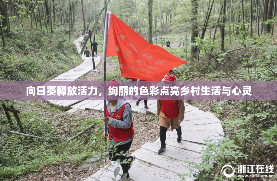向日葵释放活力，绚丽的色彩点亮乡村生活与心灵