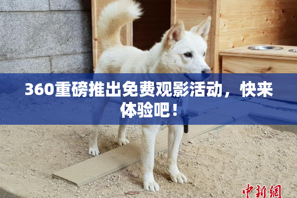 360重磅推出免费观影活动，快来体验吧！
