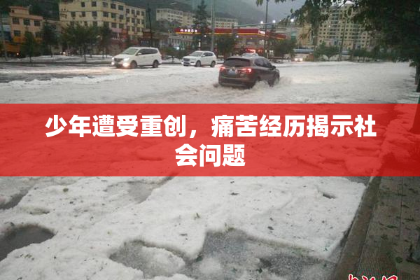 少年遭受重创，痛苦经历揭示社会问题