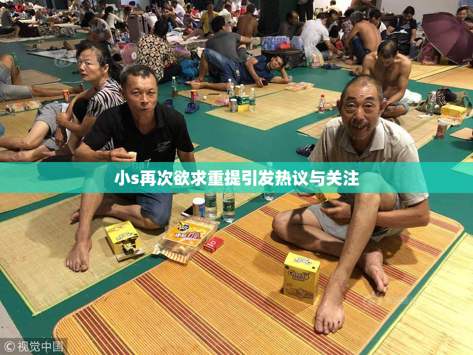 小s再次欲求重提引发热议与关注