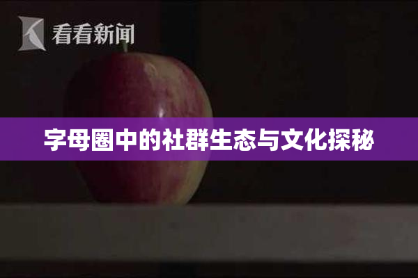 字母圈中的社群生态与文化探秘