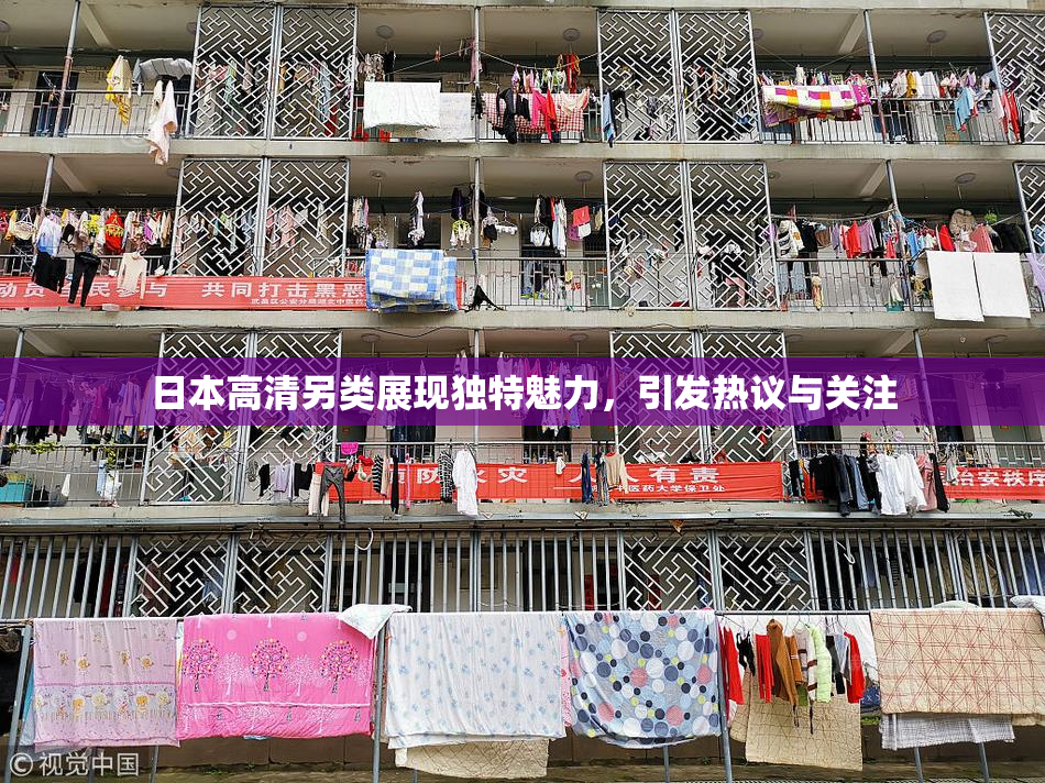 日本高清另类展现独特魅力，引发热议与关注