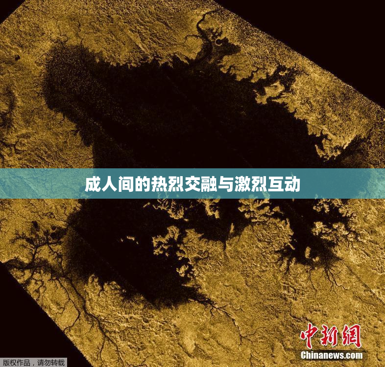 成人间的热烈交融与激烈互动