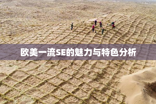 欧美一流SE的魅力与特色分析