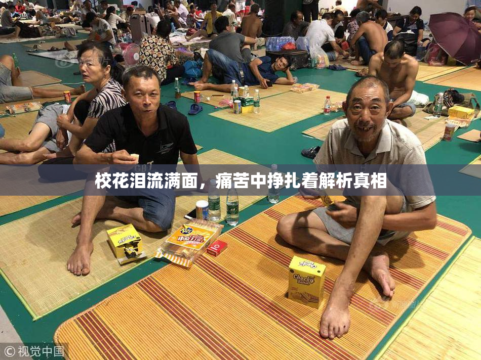 校花泪流满面，痛苦中挣扎着解析真相