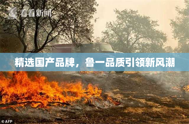 精选国产品牌，鲁一品质引领新风潮