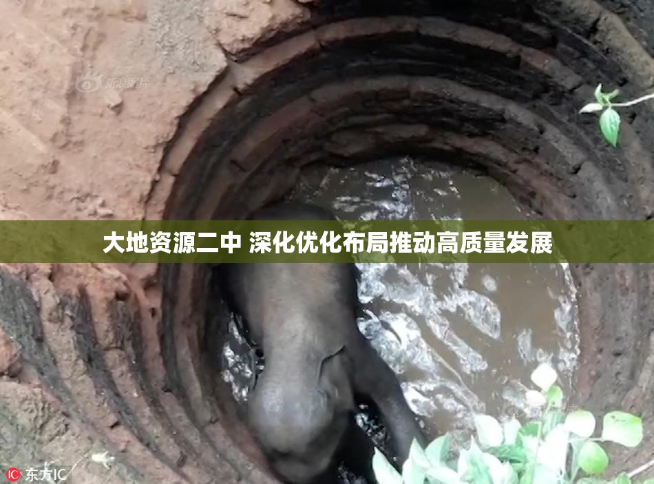大地资源二中 深化优化布局推动高质量发展
