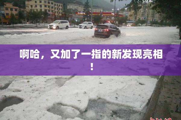 啊哈，又加了一指的新发现亮相！