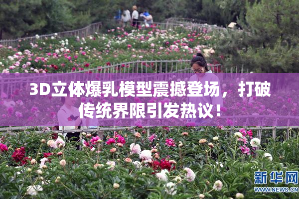 3D立体爆乳模型震撼登场，打破传统界限引发热议！