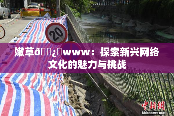 嫩草🌿‌www：探索新兴网络文化的魅力与挑战