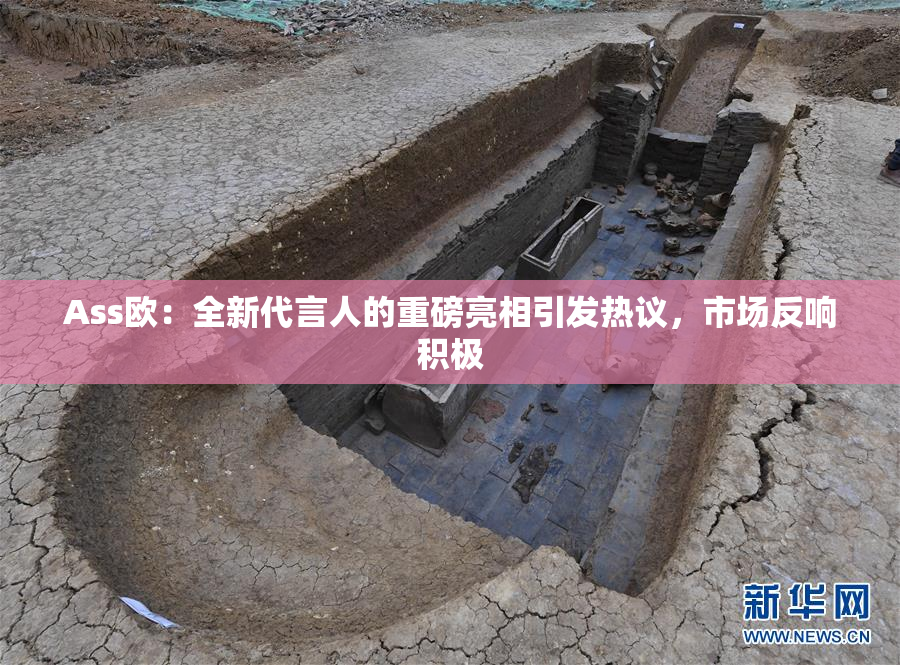 Ass欧：全新代言人的重磅亮相引发热议，市场反响积极