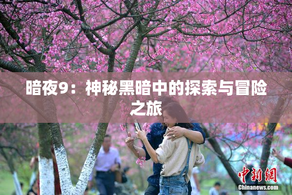 暗夜9：神秘黑暗中的探索与冒险之旅