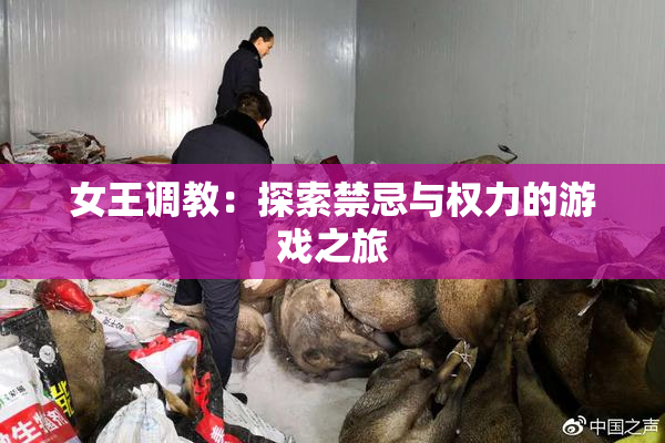 女王调教：探索禁忌与权力的游戏之旅