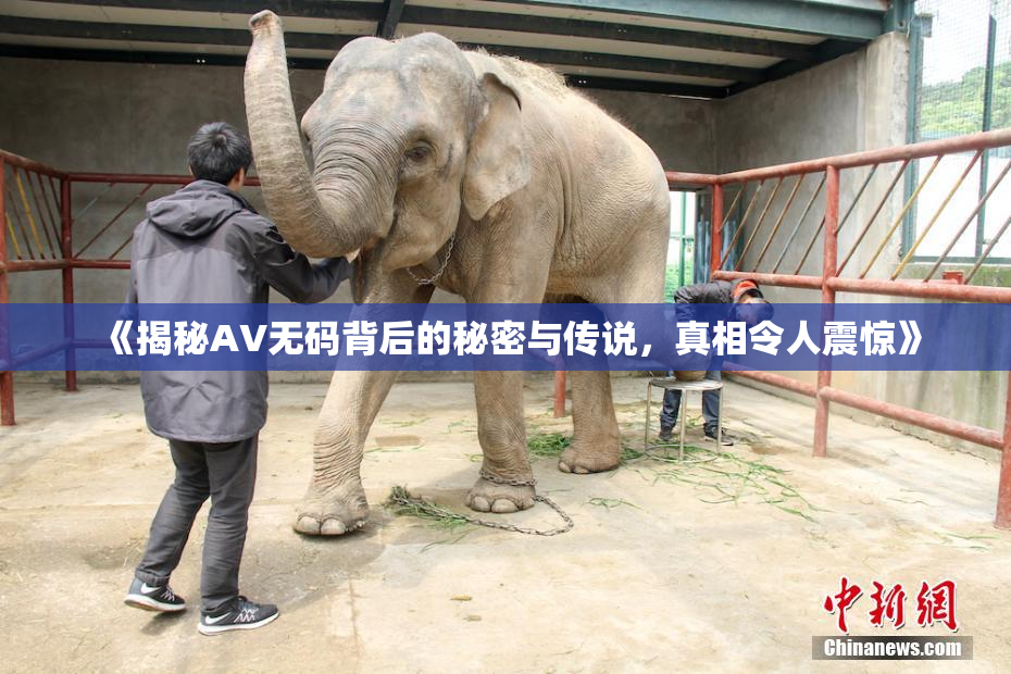 《揭秘AV无码背后的秘密与传说，真相令人震惊》