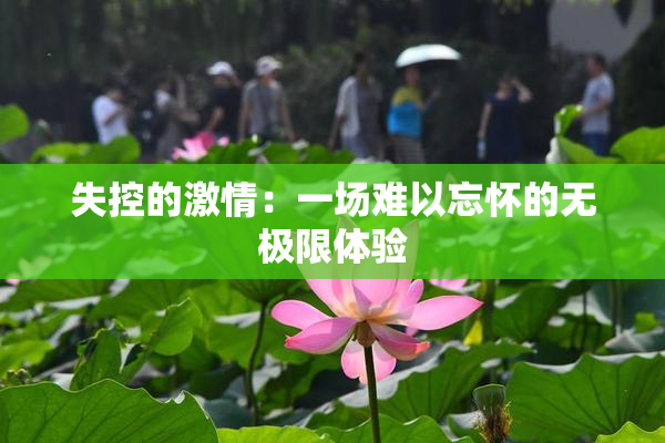 失控的激情：一场难以忘怀的无极限体验