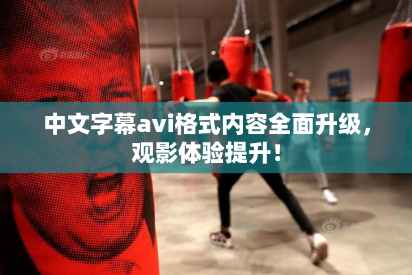 中文字幕avi格式内容全面升级，观影体验提升！